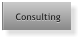 Consulting Consulting